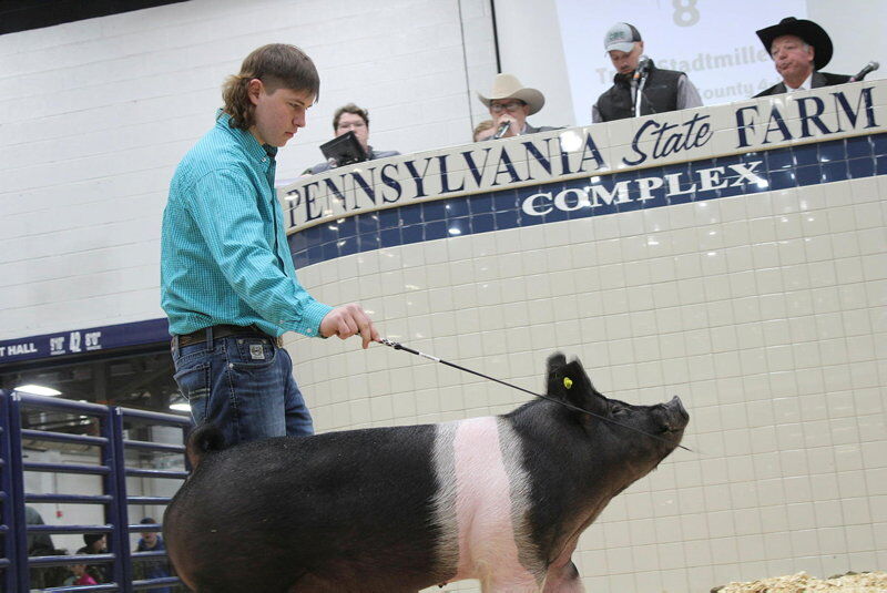 LF20230114-Farm-Show-Sale-8.jpg